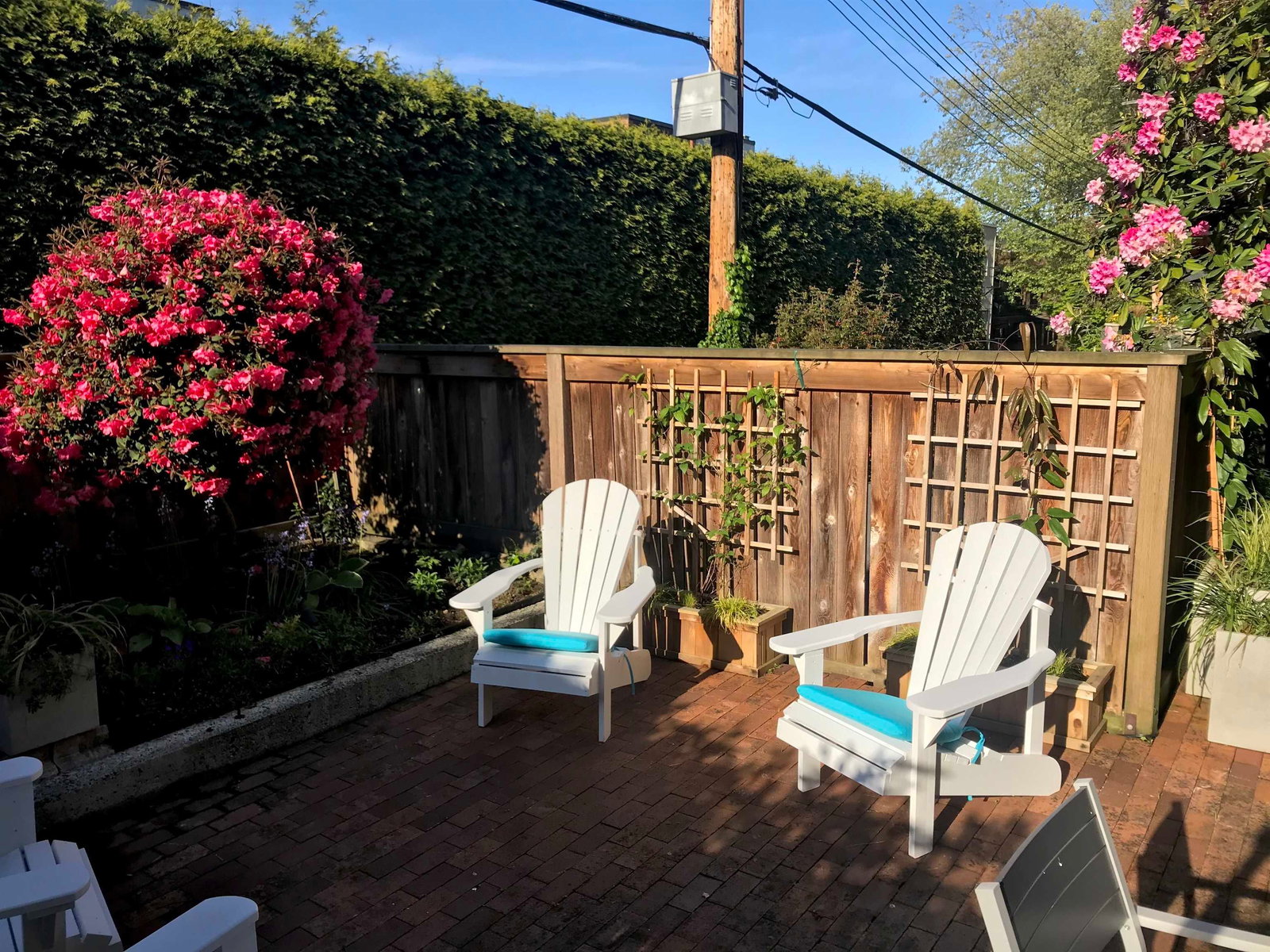 Listing Image 23