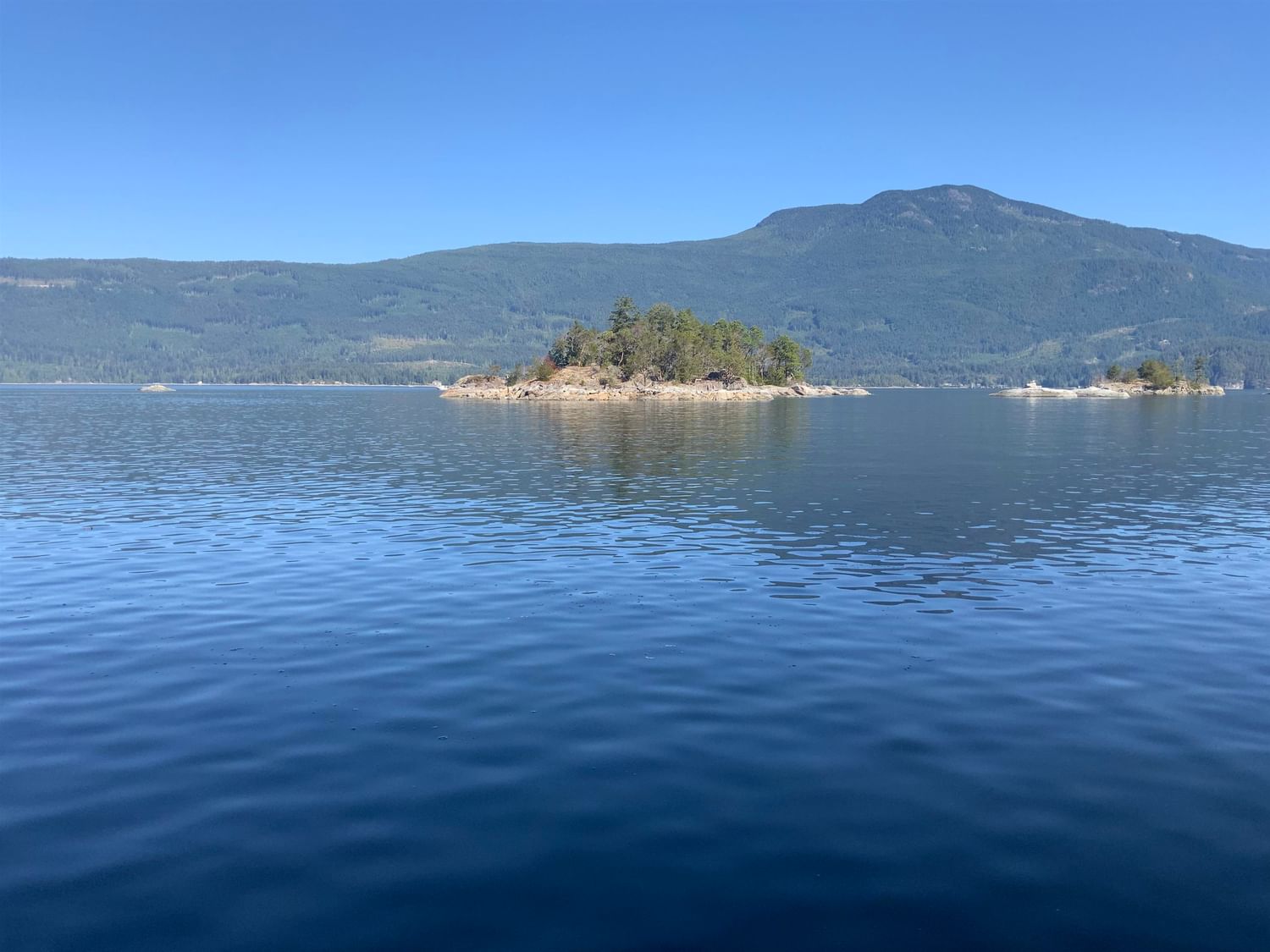 Listing Image 13