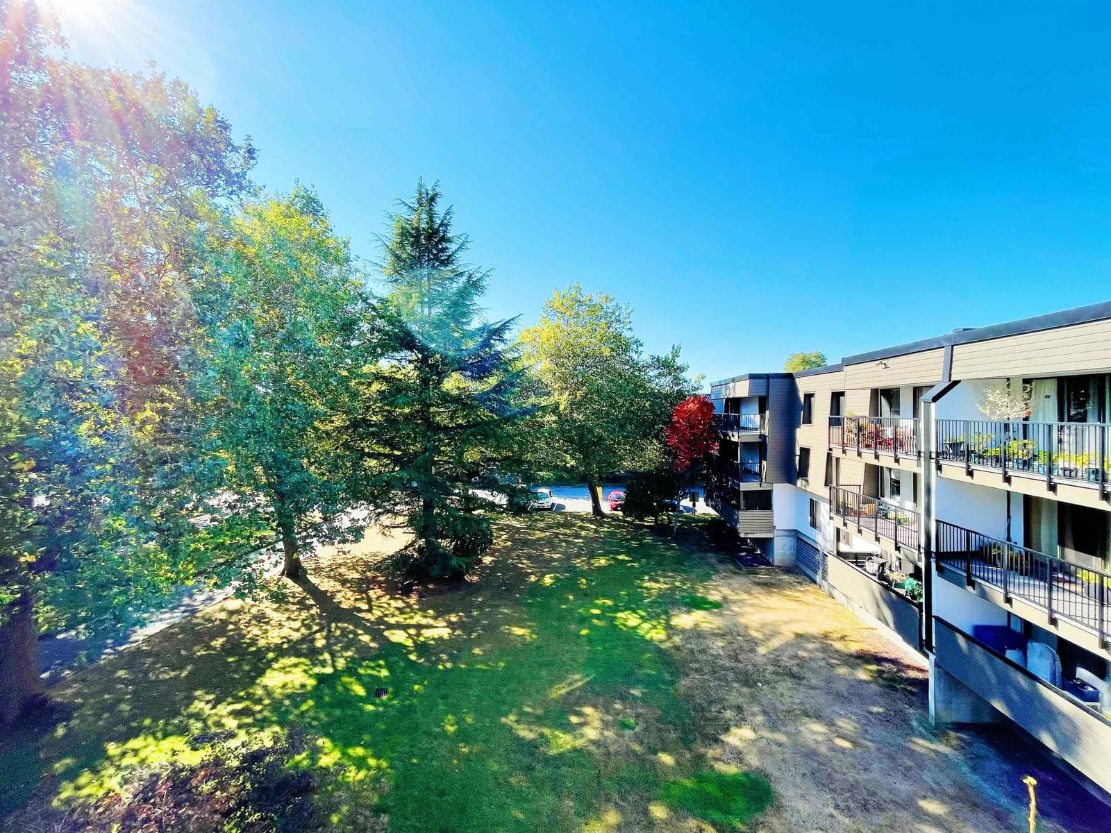 Listing Image 19