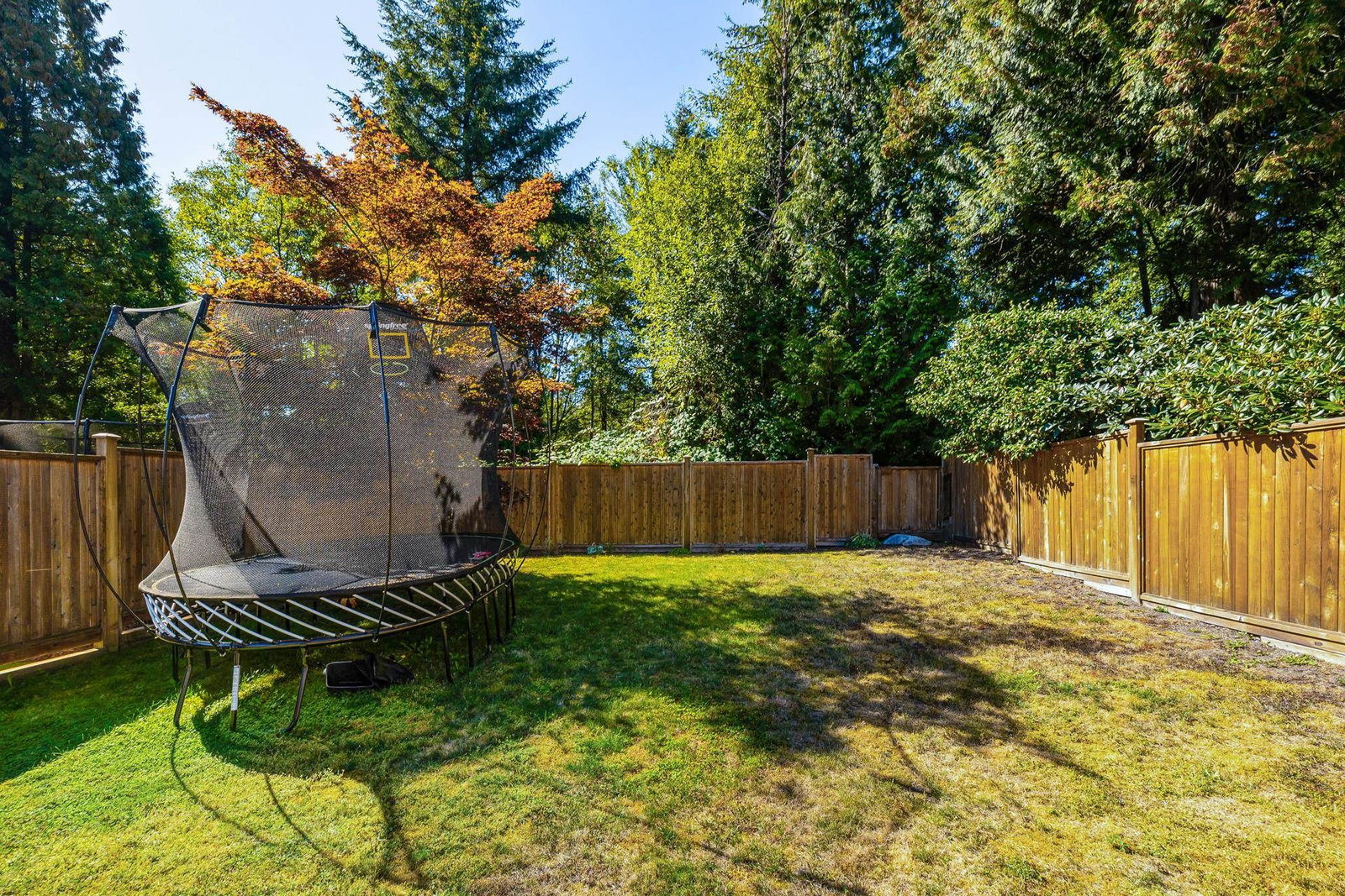 Listing Image 37