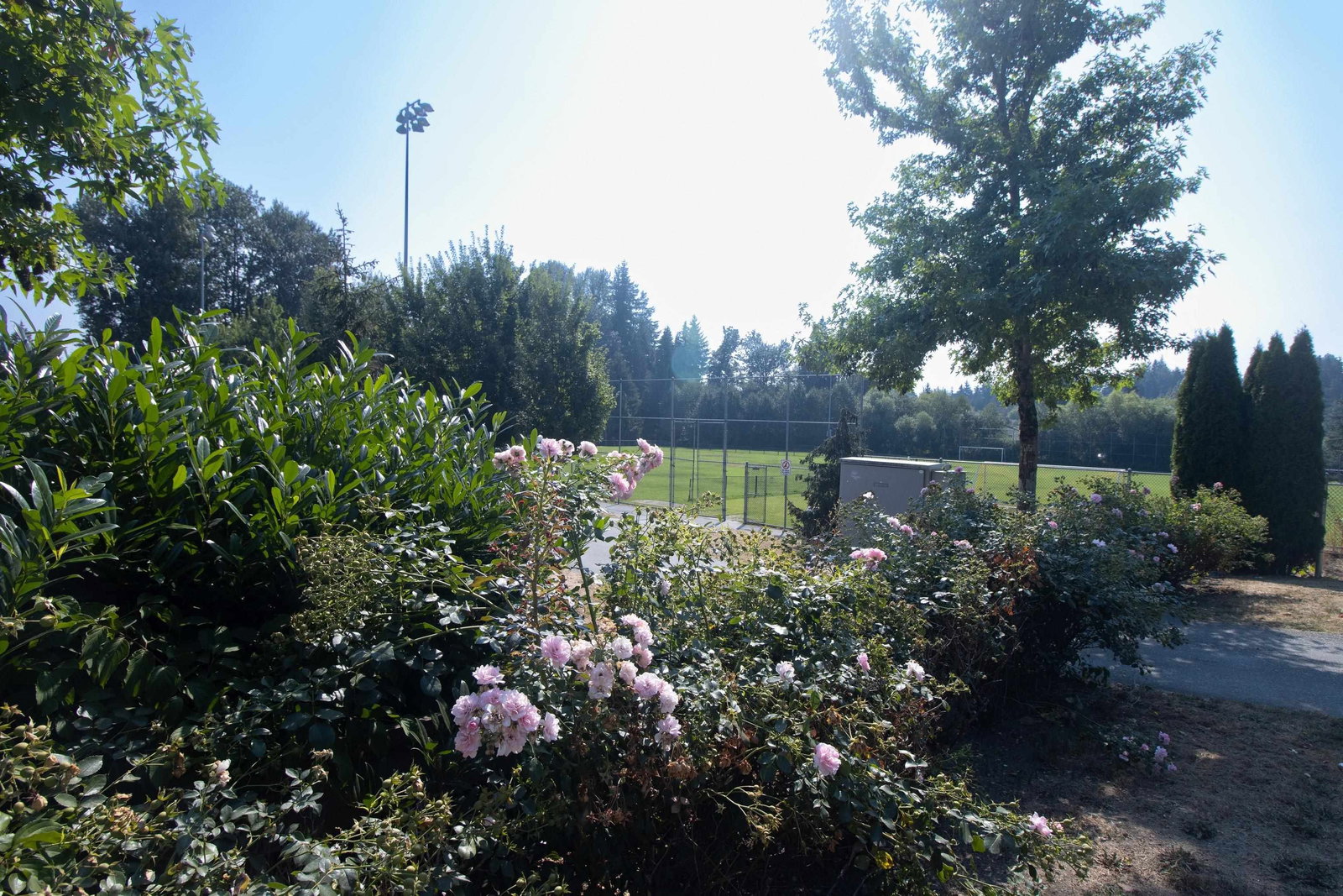 Listing Image 21