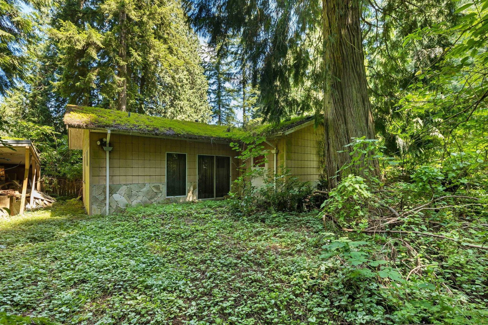 Listing Image 11