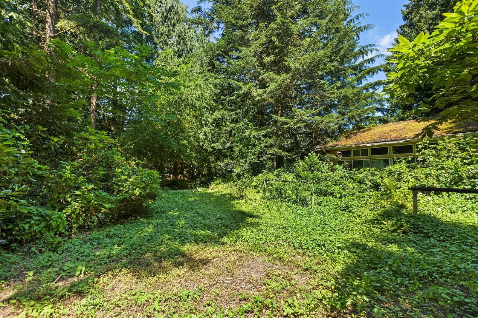 Listing Image 17