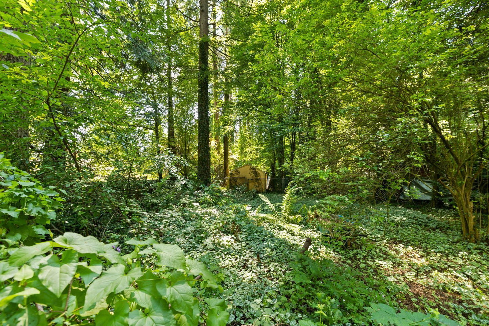 Listing Image 19