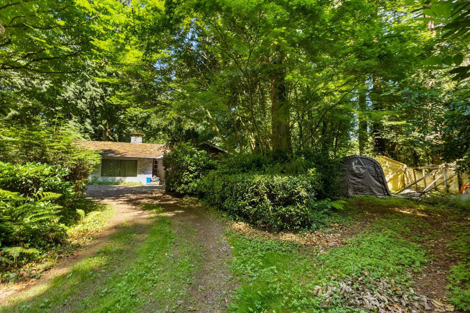 Listing Image 5