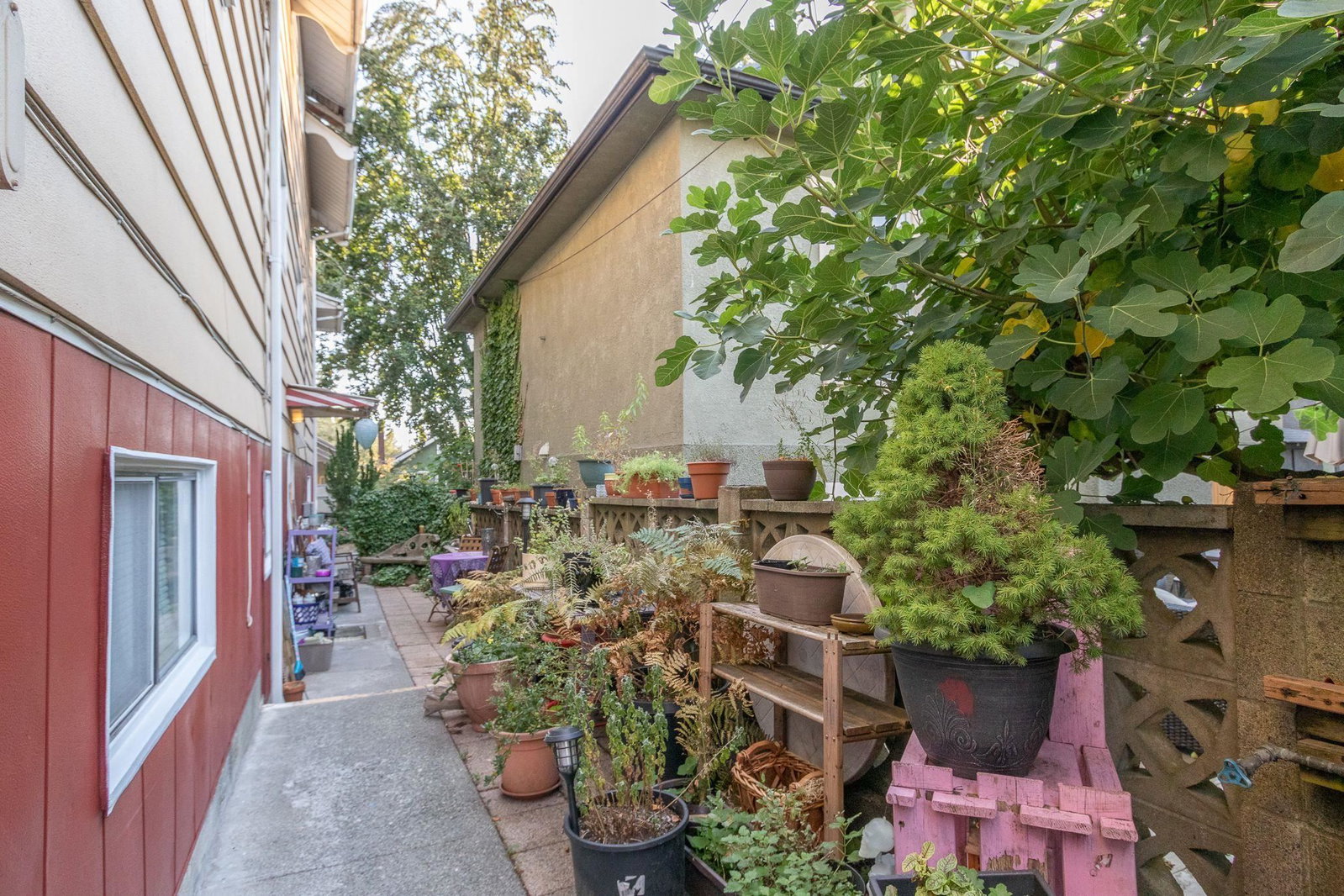 Listing Image 37