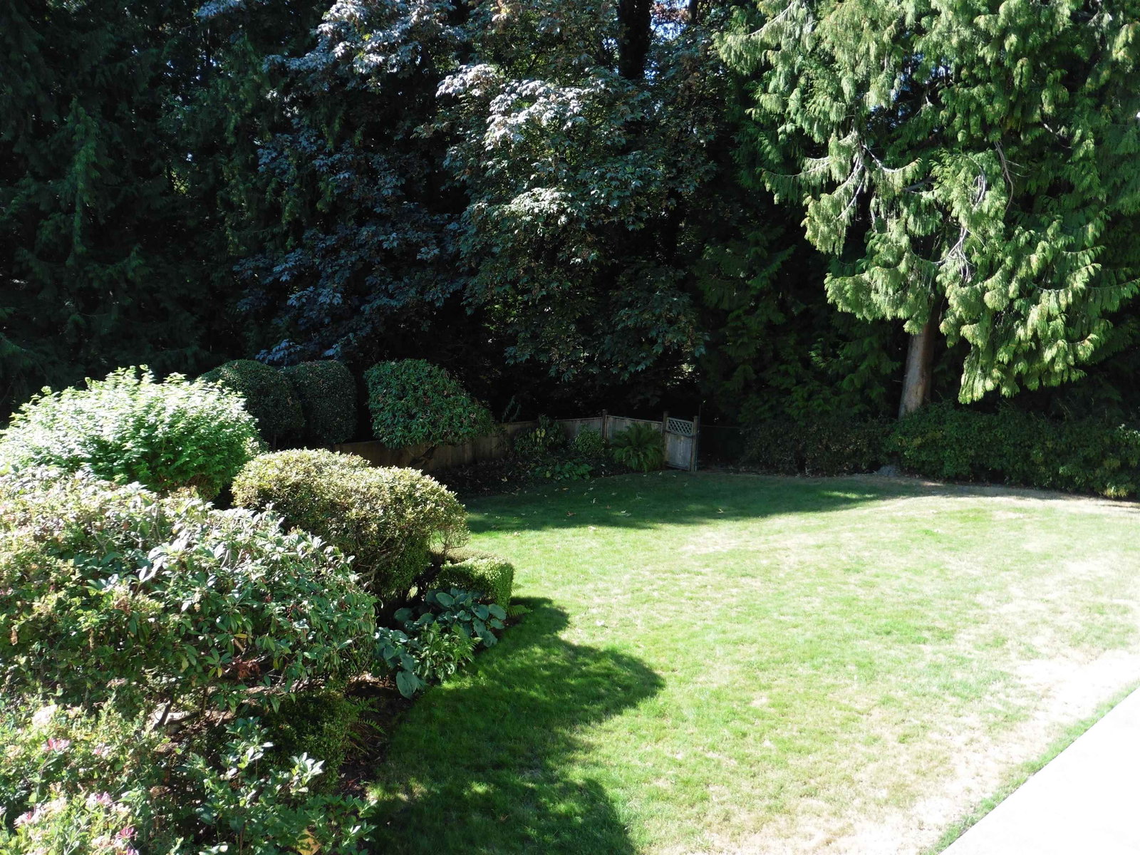 Listing Image 37