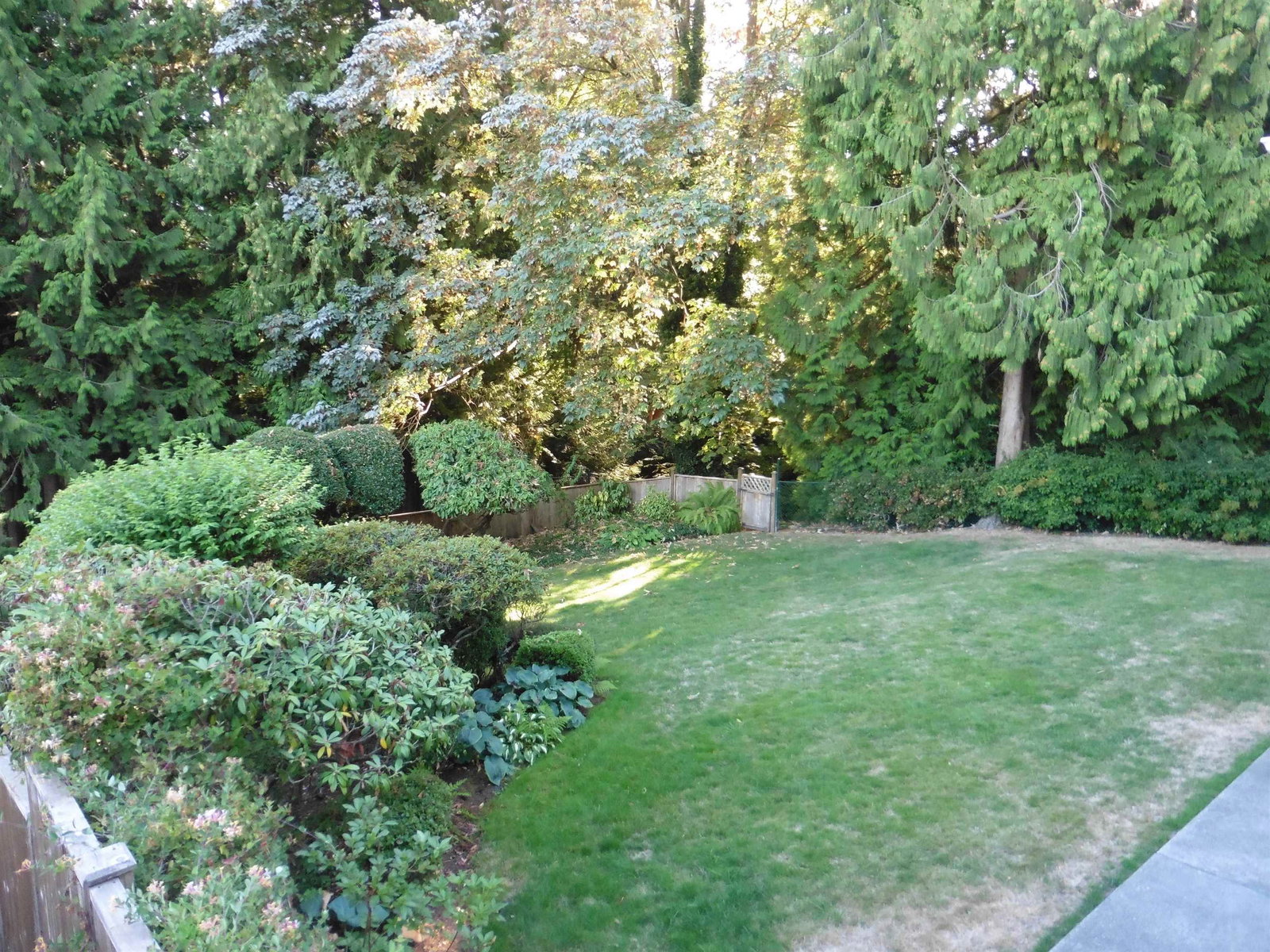 Listing Image 38