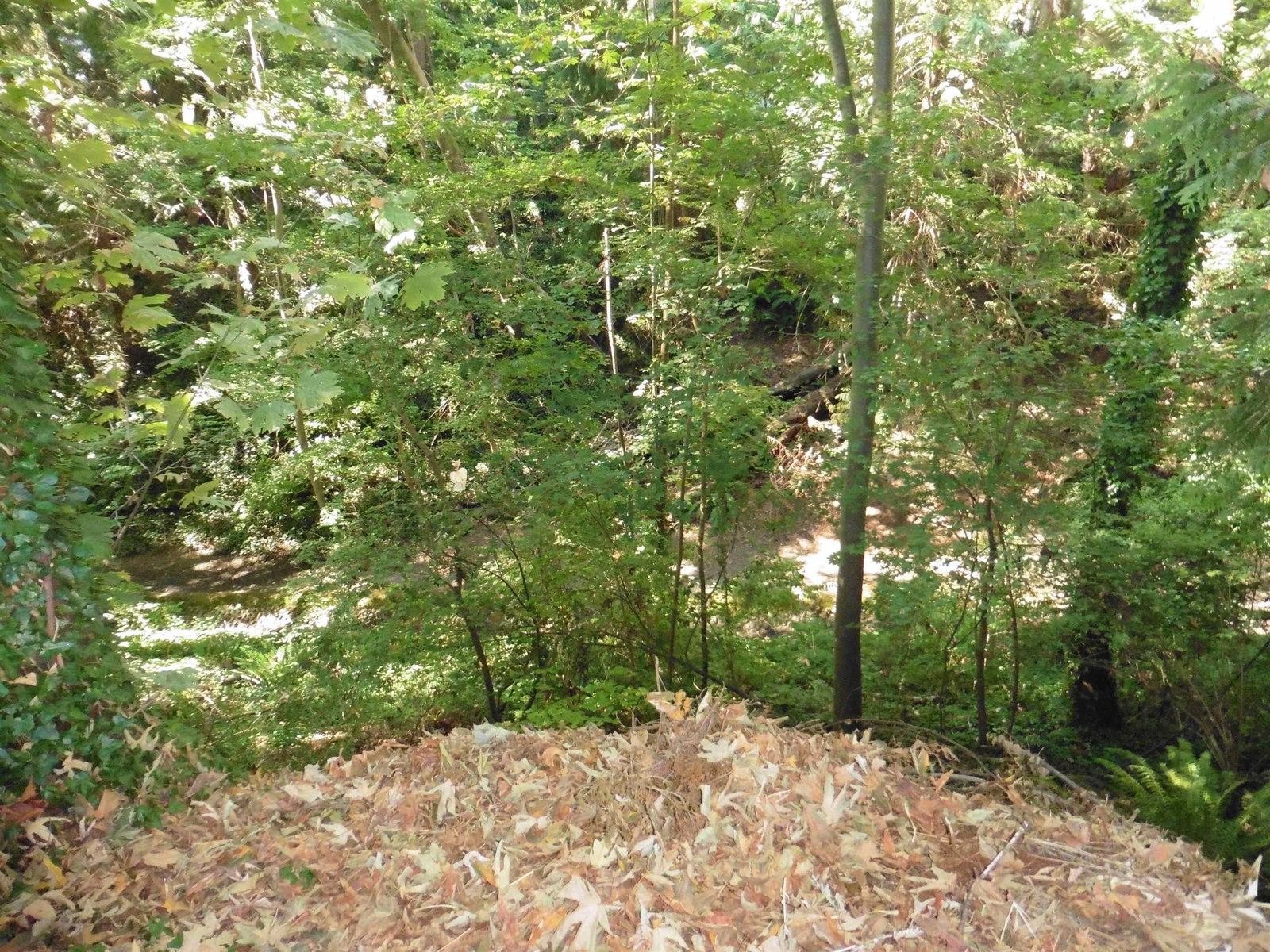 Listing Image 39