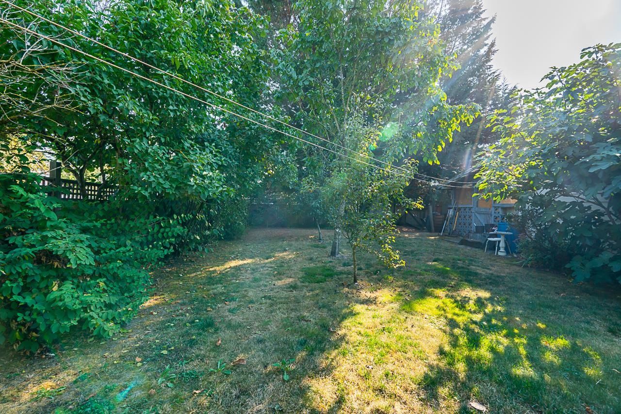 Listing Image 31