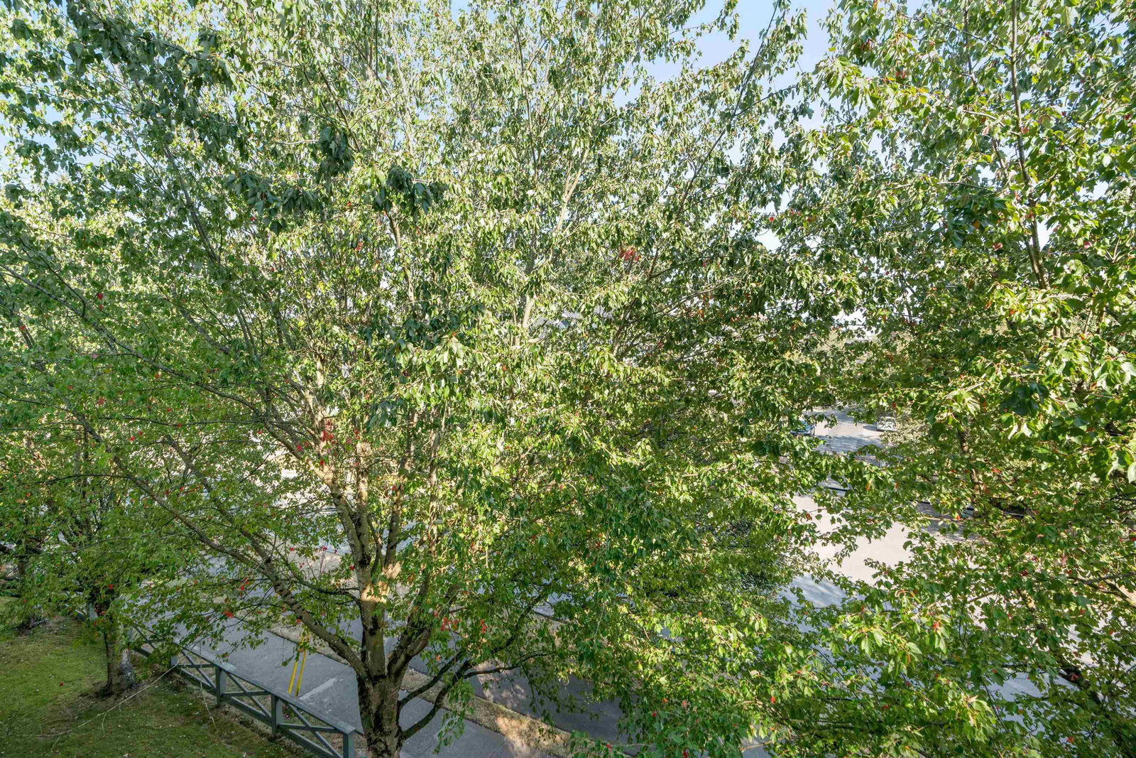 Listing Image 25