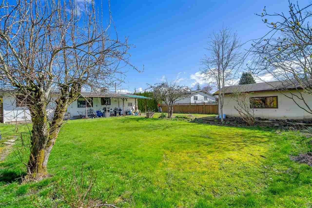 Listing Image 6