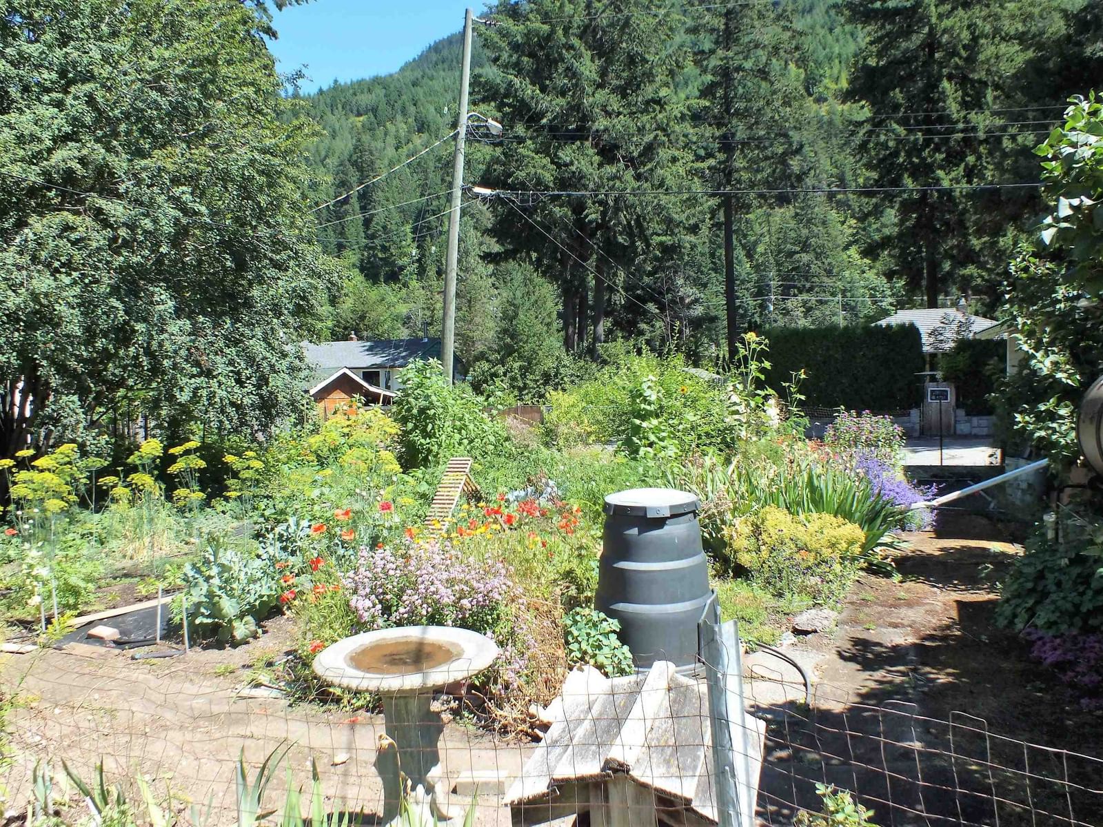 Listing Image 10