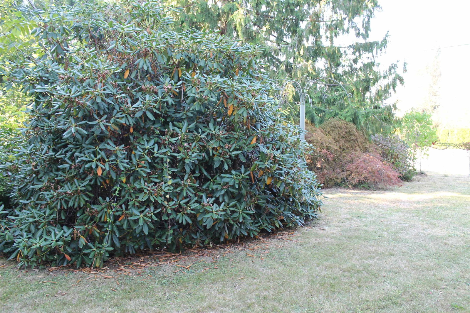 Listing Image 11