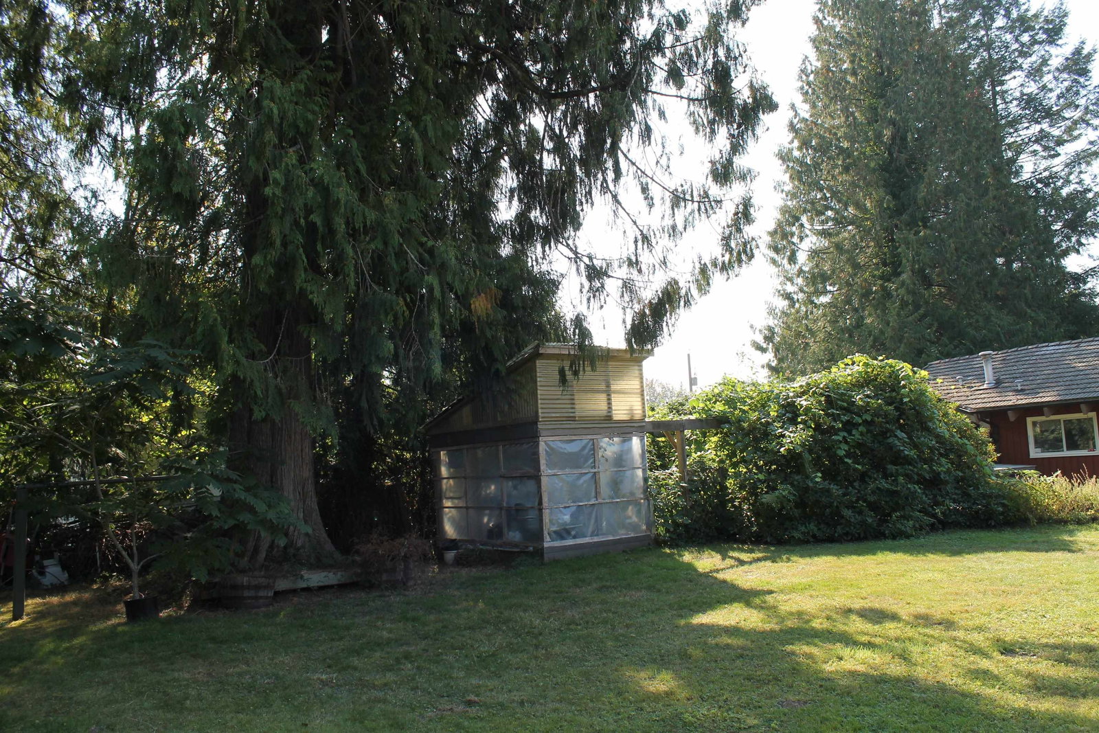Listing Image 14