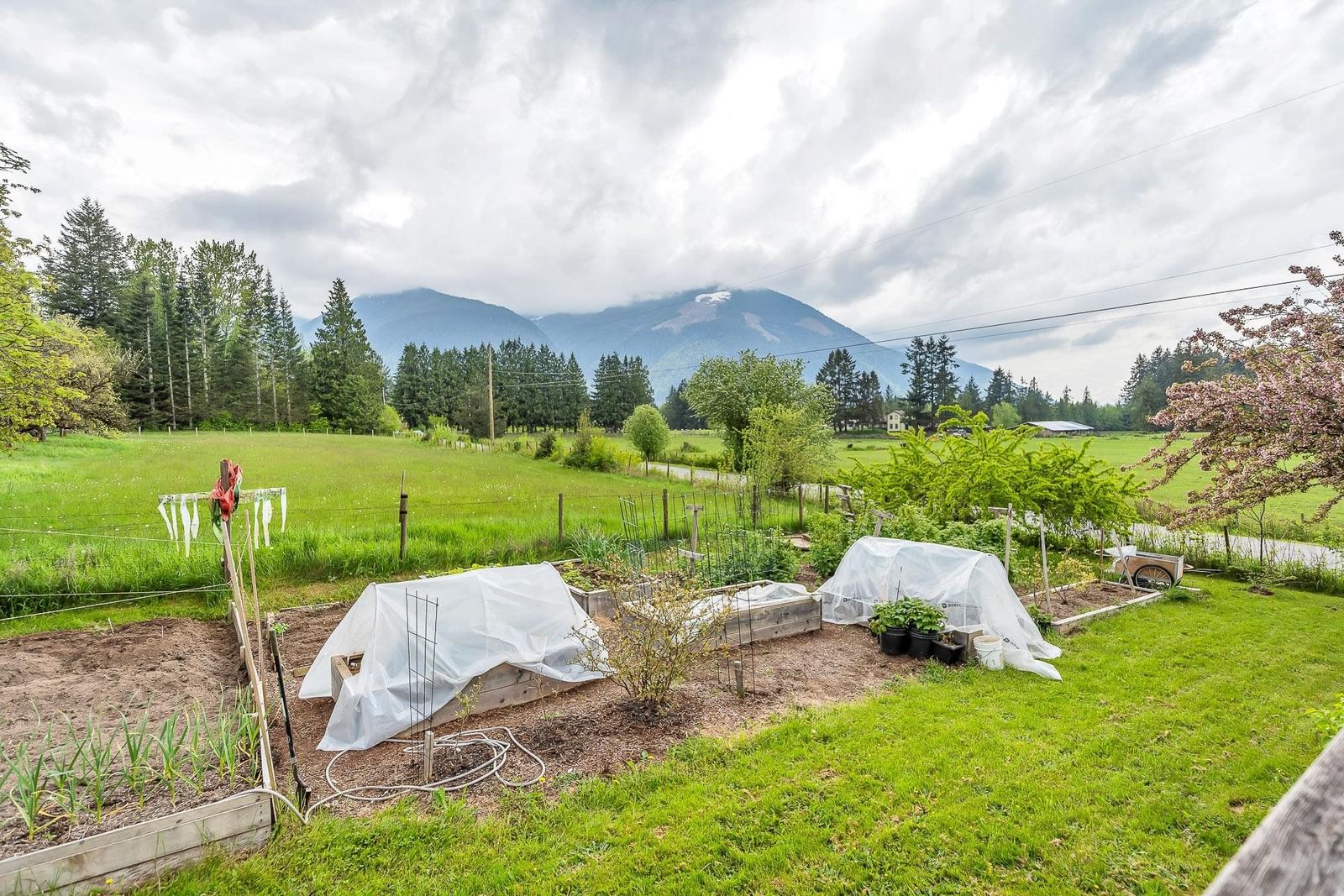 Listing Image 14