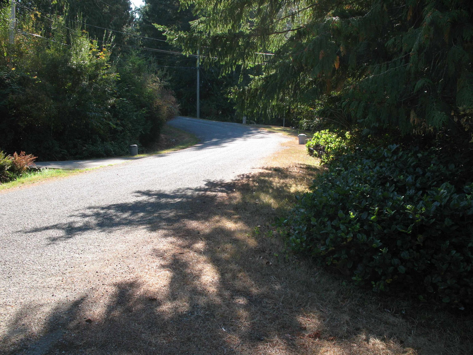 Listing Image 26