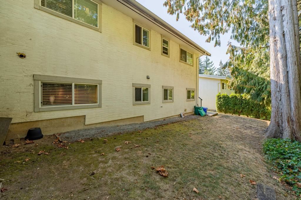 Listing Image 37