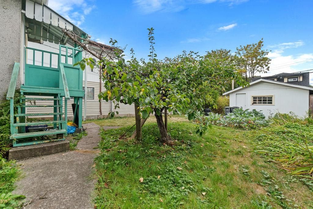Listing Image 13