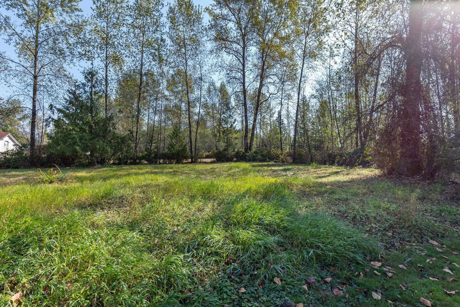 Listing Image 39
