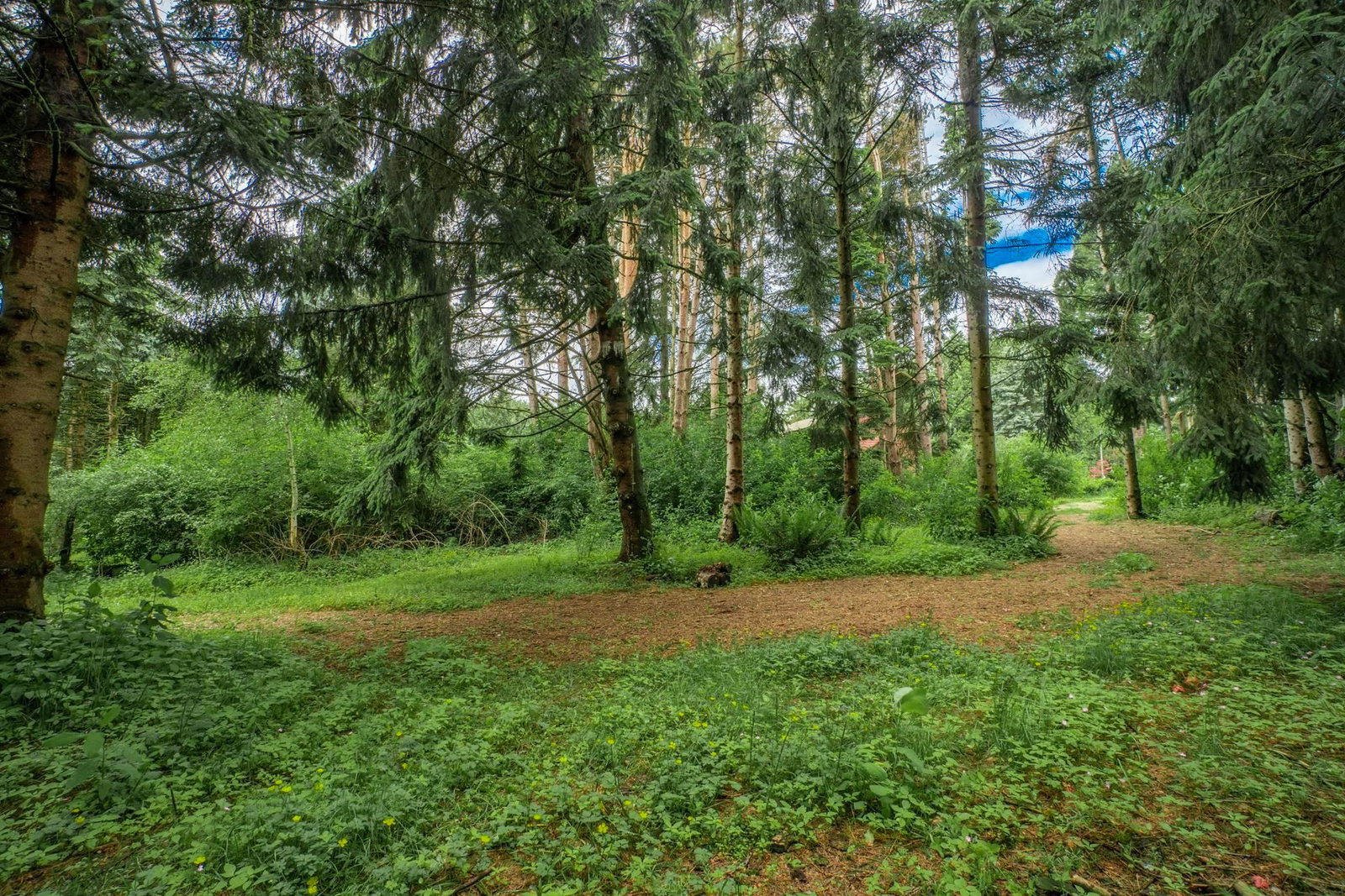 Listing Image 37