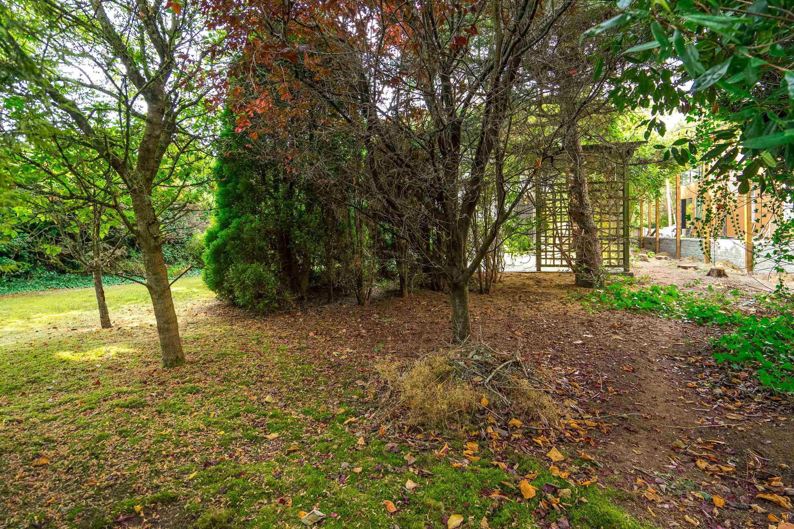 Listing Image 37