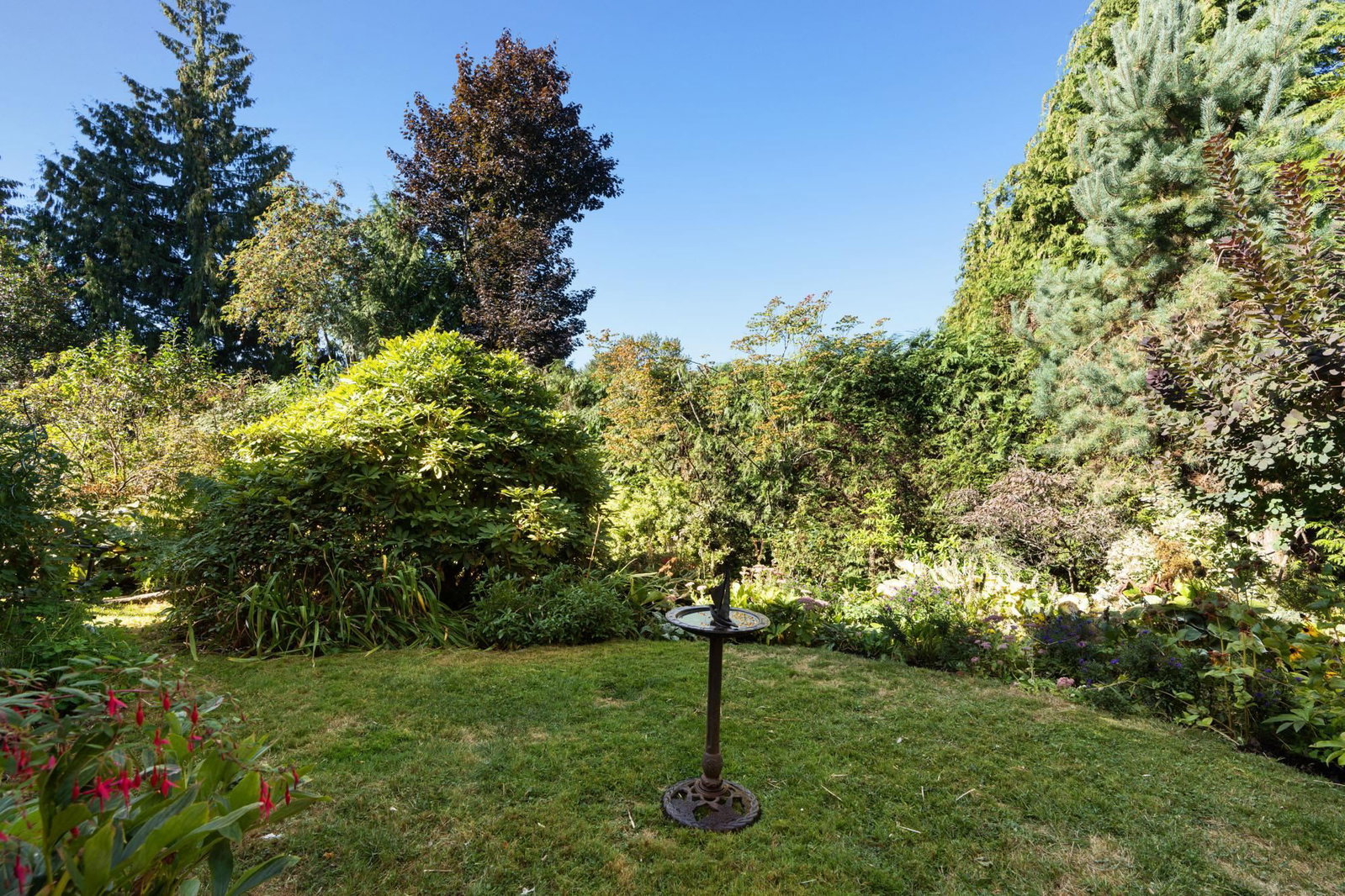 Listing Image 32