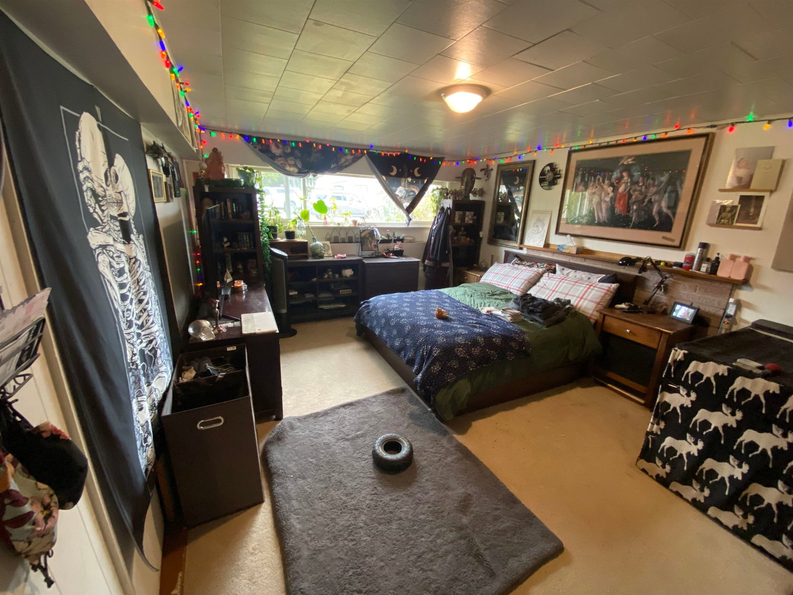 Listing Image 24