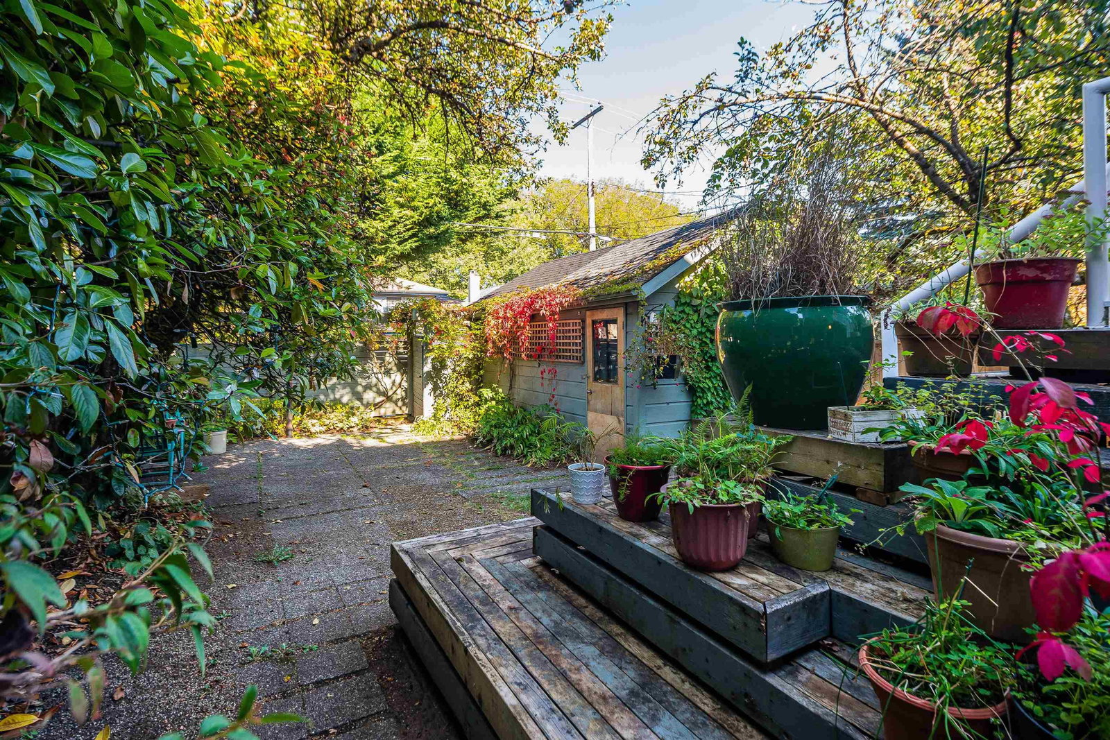 Listing Image 40