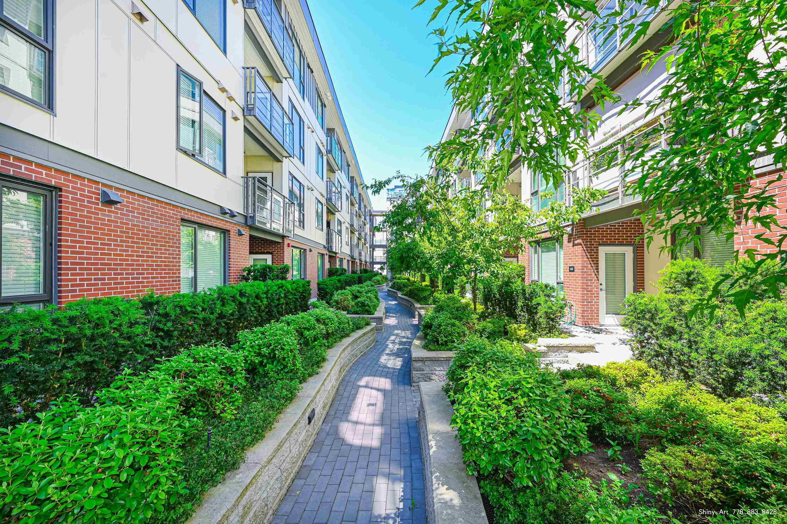 Listing Image 19