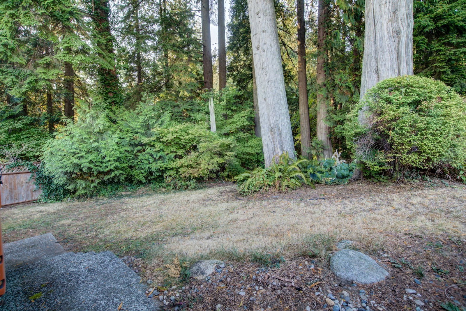 Listing Image 28