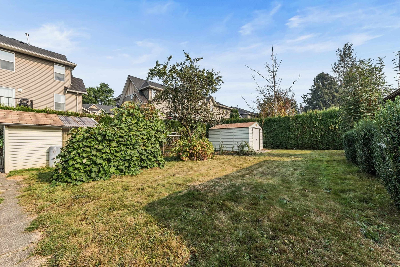 Listing Image 33