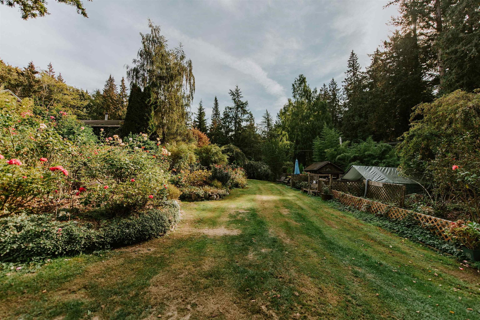 Listing Image 28
