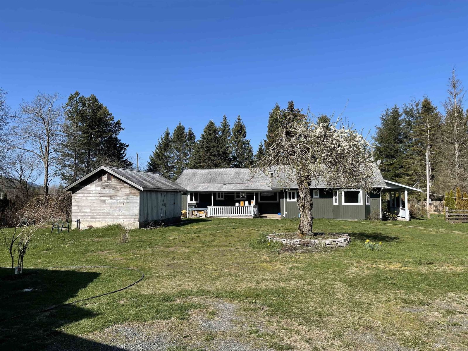 Listing Image 2