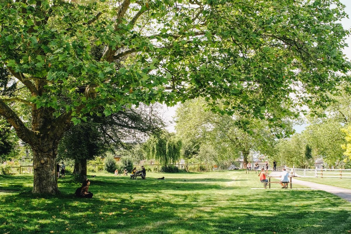 Listing Image 32