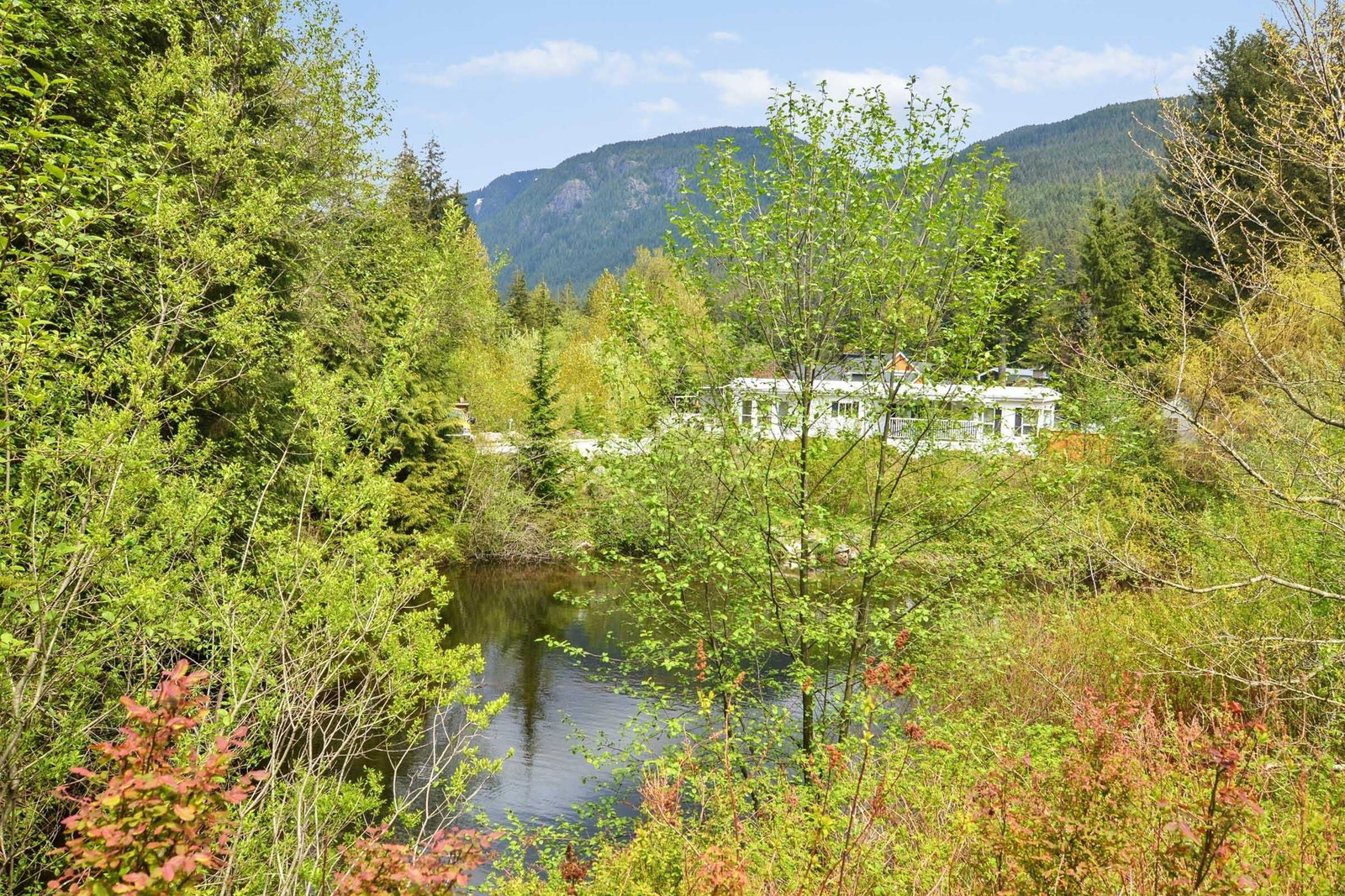 Listing Image 28