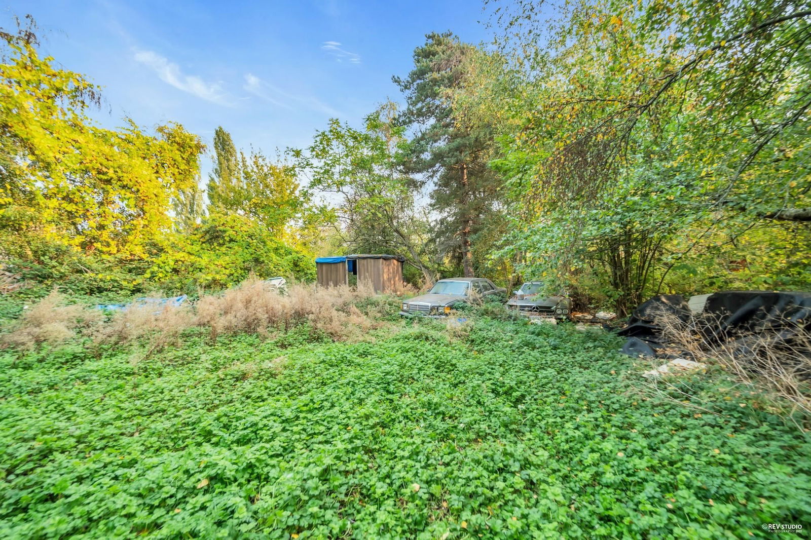 Listing Image 20