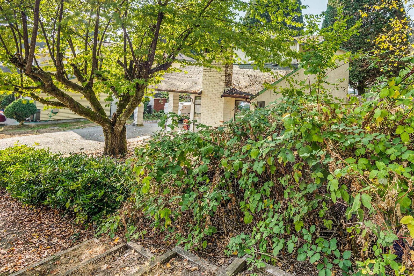 Listing Image 34
