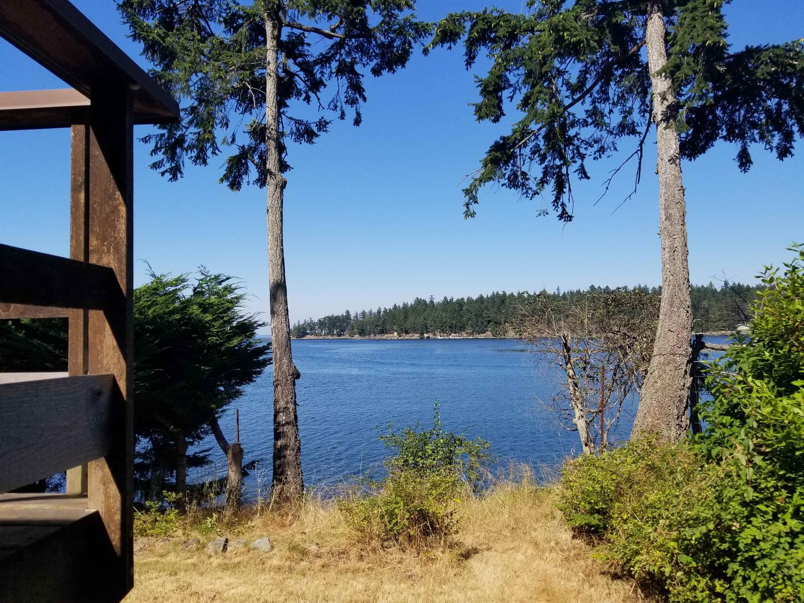 Listing Image 11