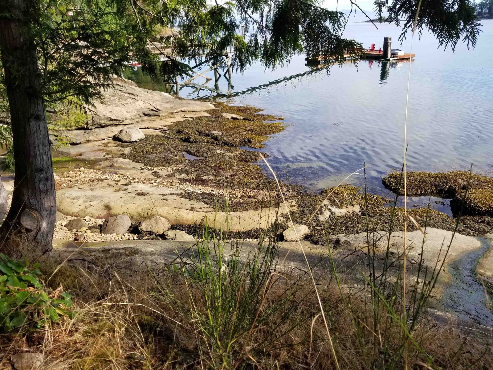 Listing Image 37
