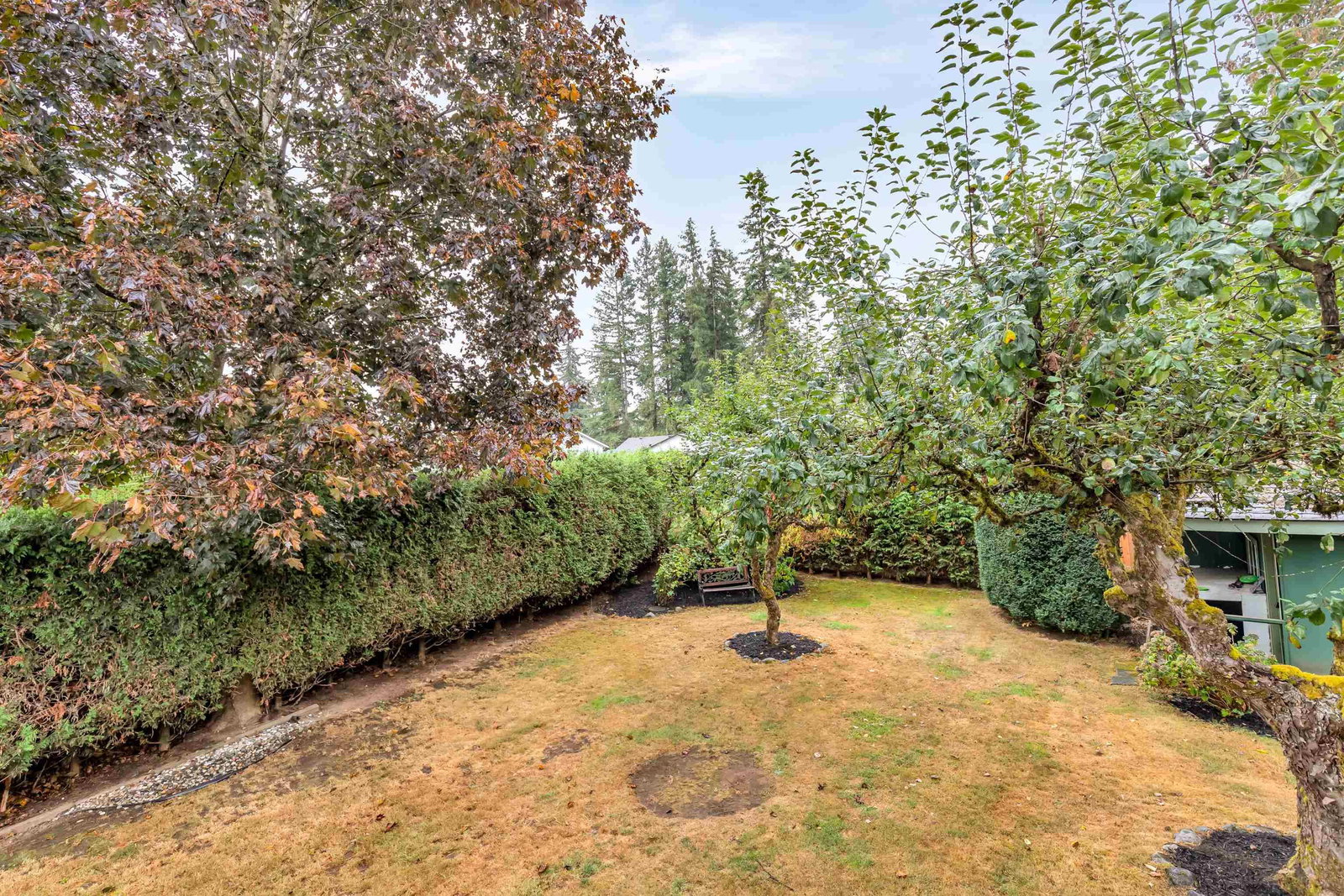 Listing Image 33