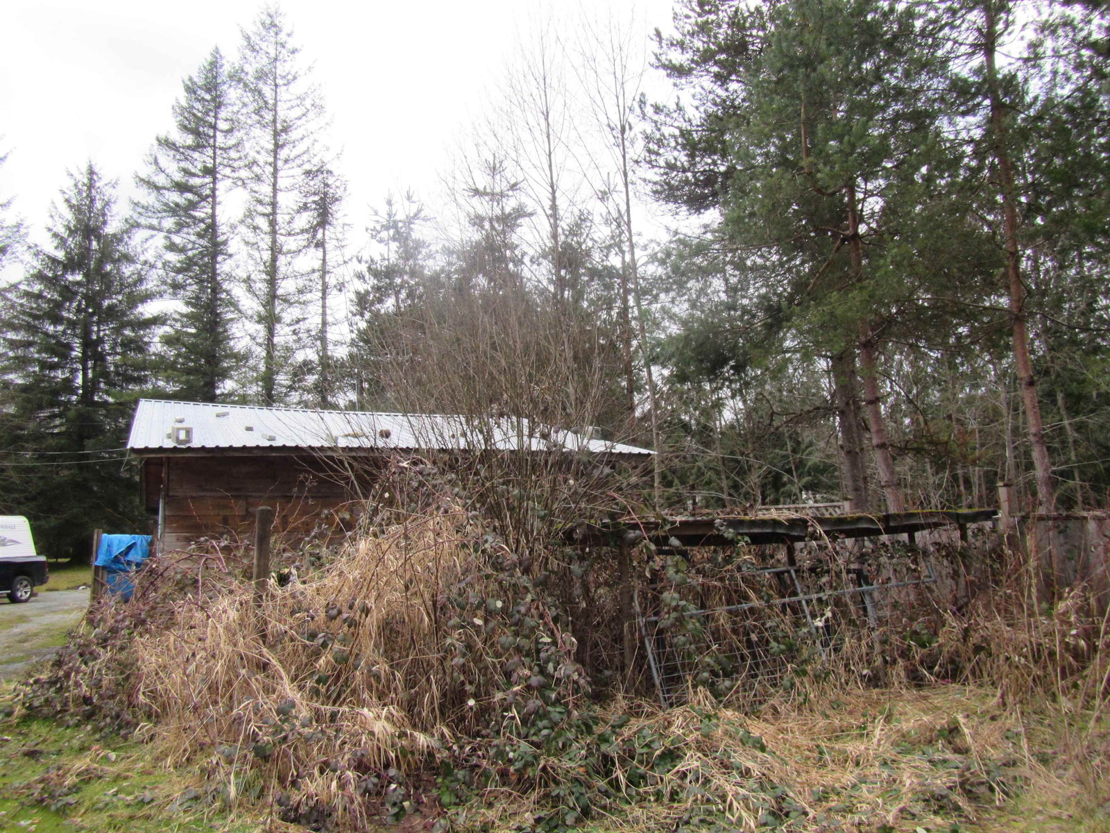 Listing Image 21