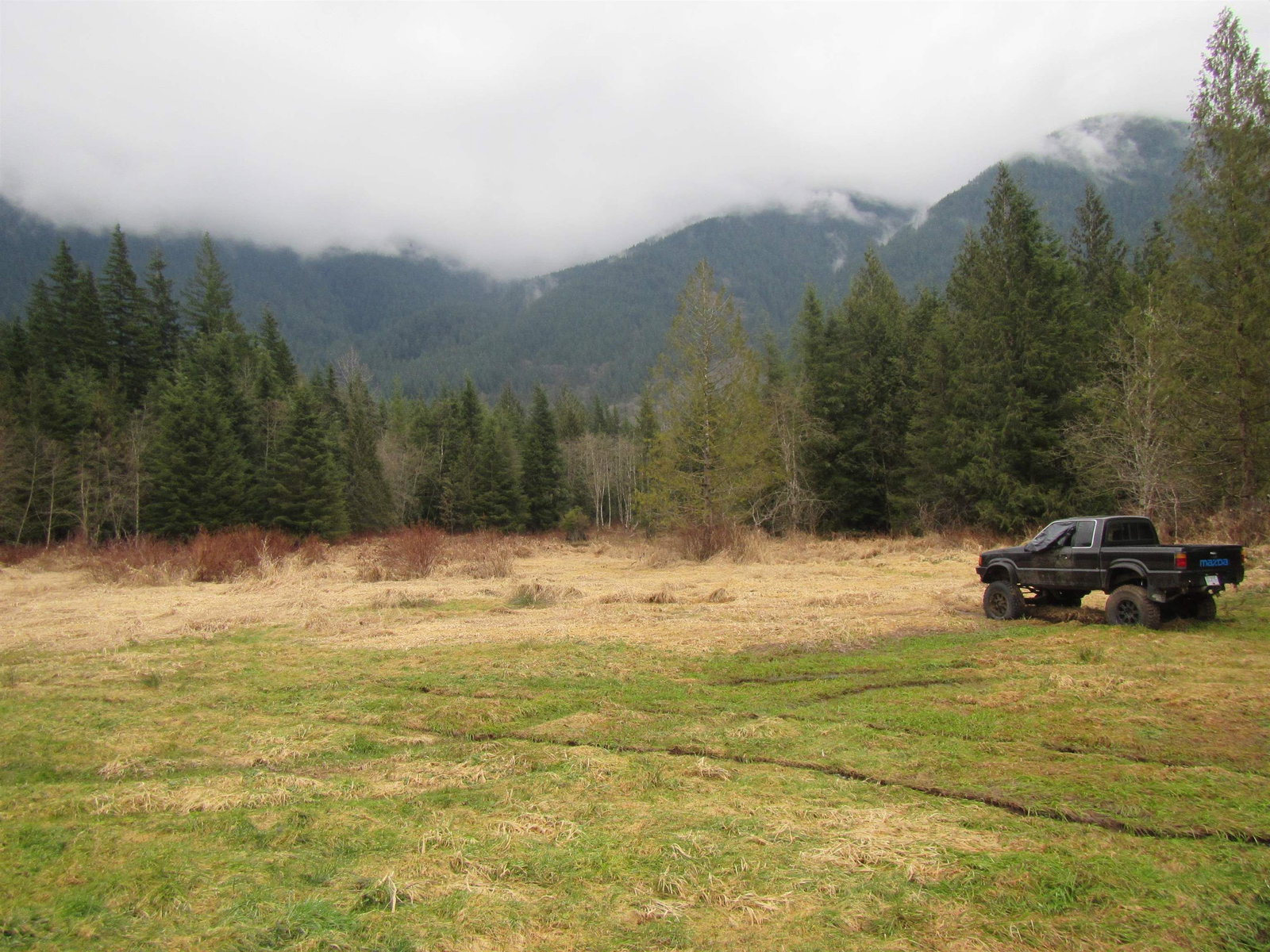 Listing Image 26