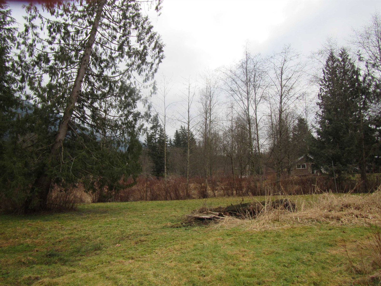 Listing Image 27