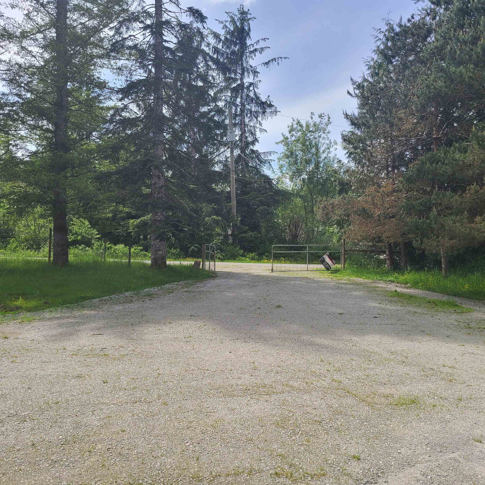 Listing Image 31