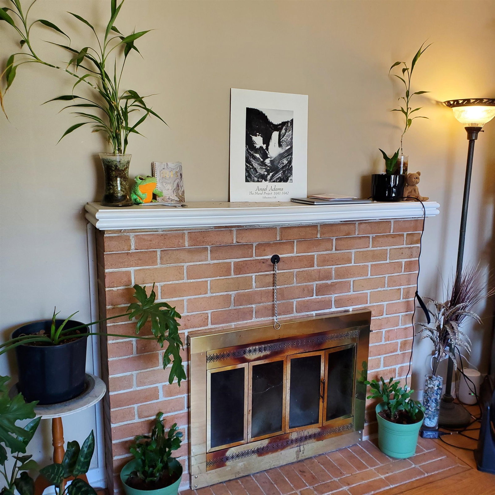 Listing Image 7
