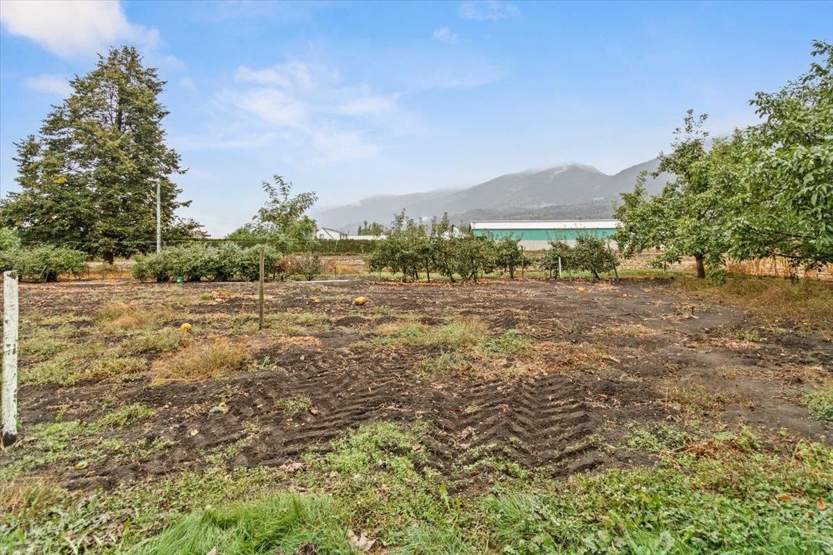Listing Image 4