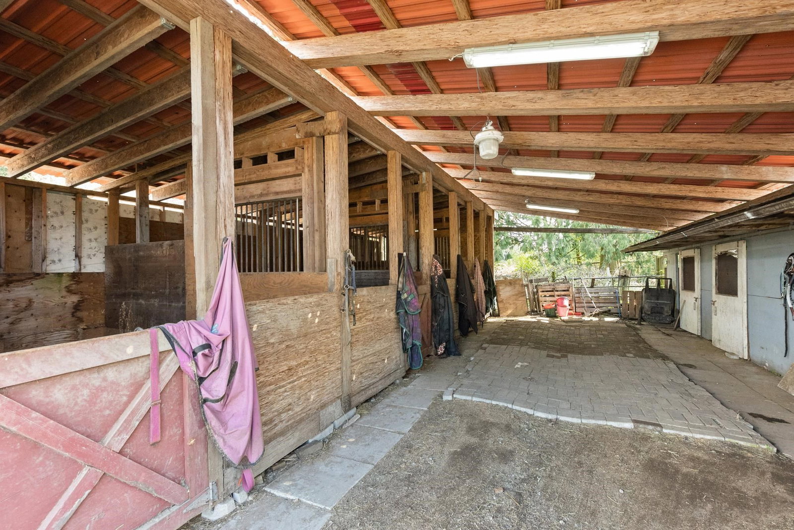 Listing Image 20