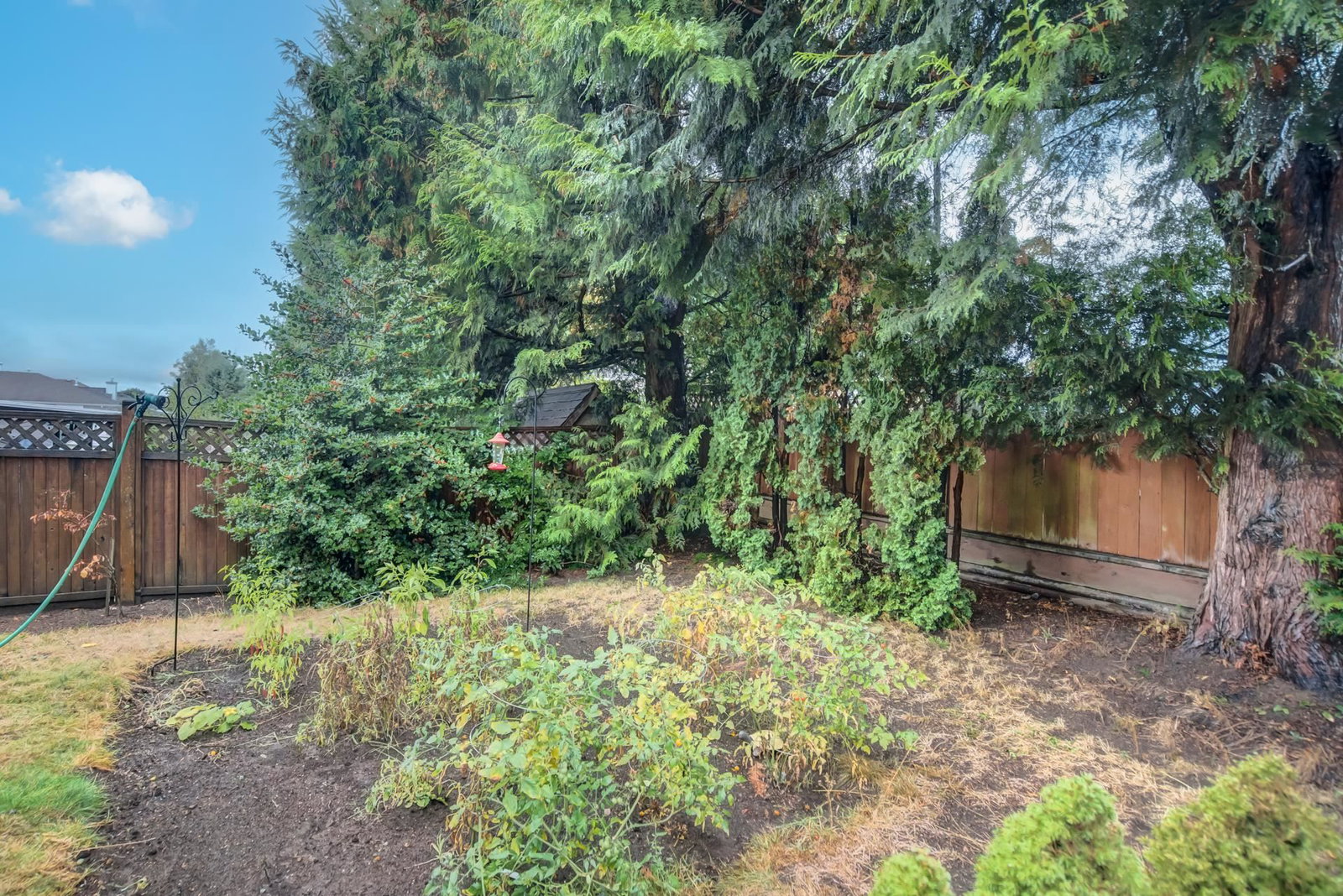 Listing Image 34