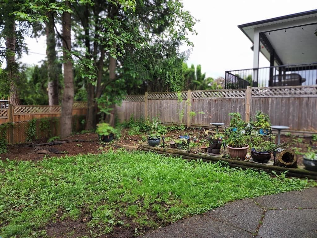 Listing Image 10